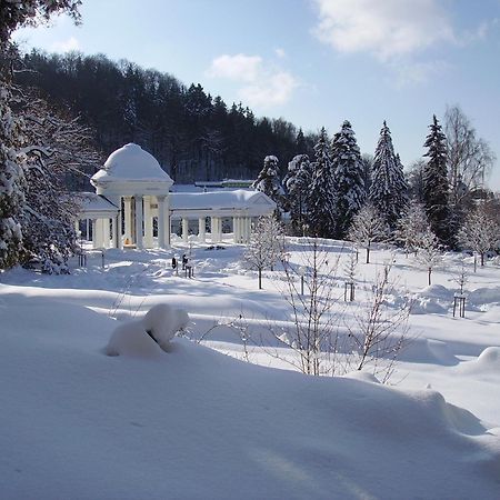 Villa Sonnenstrahl Marianske Lazne Exterior foto