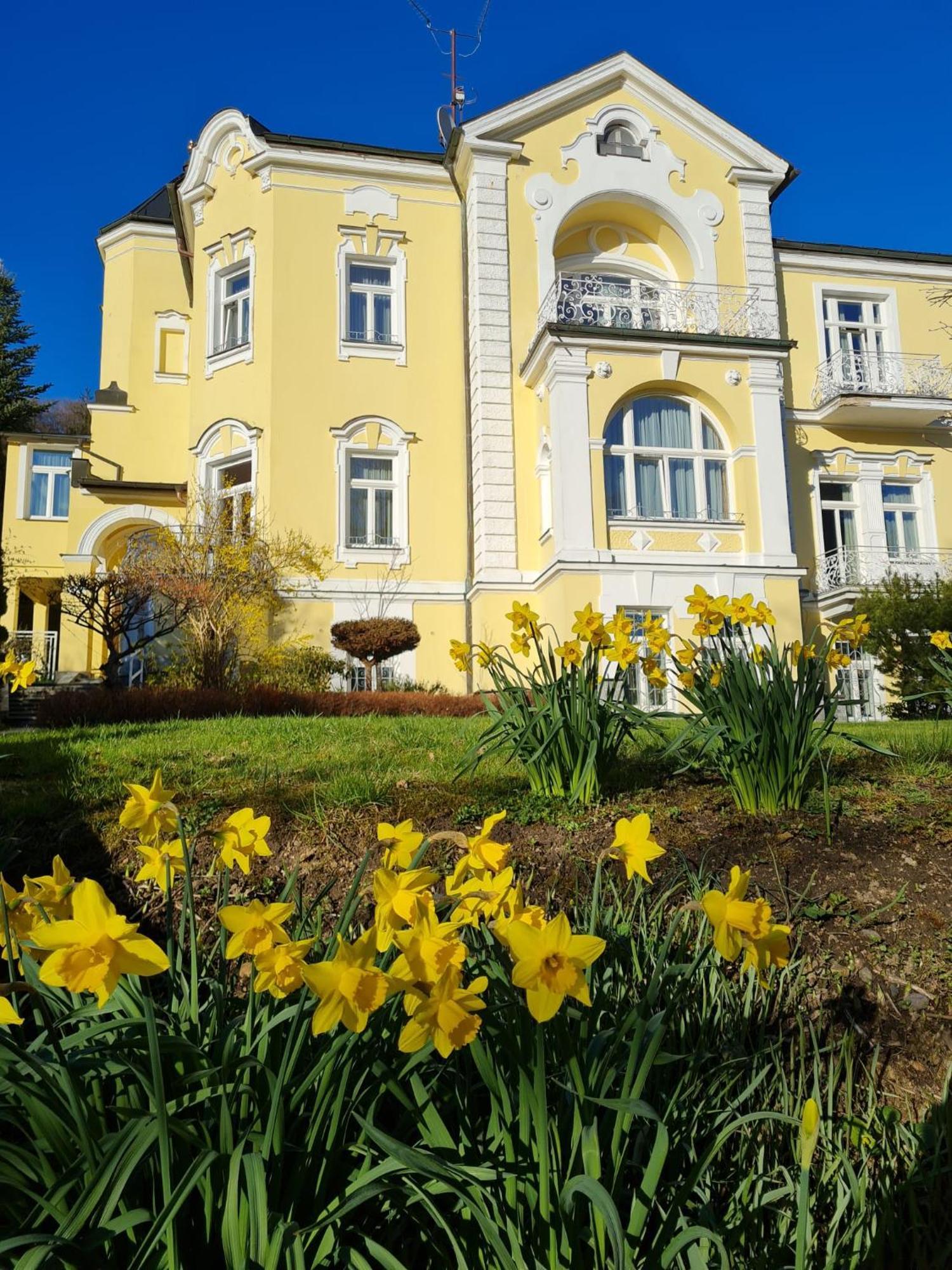 Villa Sonnenstrahl Marianske Lazne Exterior foto